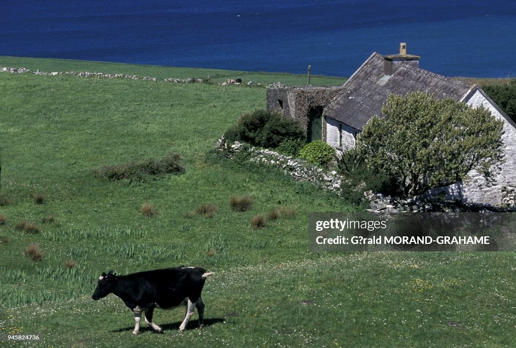 LA COTE PRES DE DOOLIN, IRLANDE