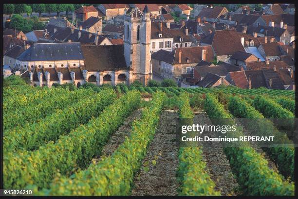 IRANCY, BOURGOGNE.