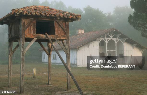 Poulailler perch?, Gascogne. Marqu?ze est un quartier de la commune de Sabres. Il a ?t? reconstitu? dans sa physionomie de la fin du XIXe si?cle,...