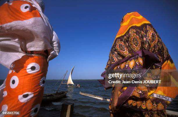 Les boutres sont des bateaux qui naviguent dans la mer Rouge, le long de la c?te orientale d'Afrique et dans le golfe Persique. A l'origine ils...