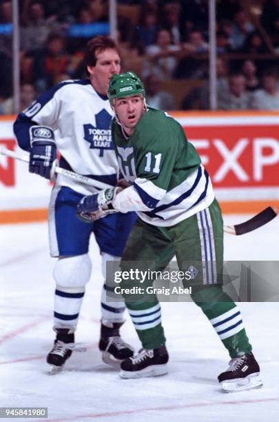 Kevin Dineen of the Hartford Whalers skates against the Toronto Maple Leafs during NHL game action on January 16, 1989 at Maple Leaf Gardens in...