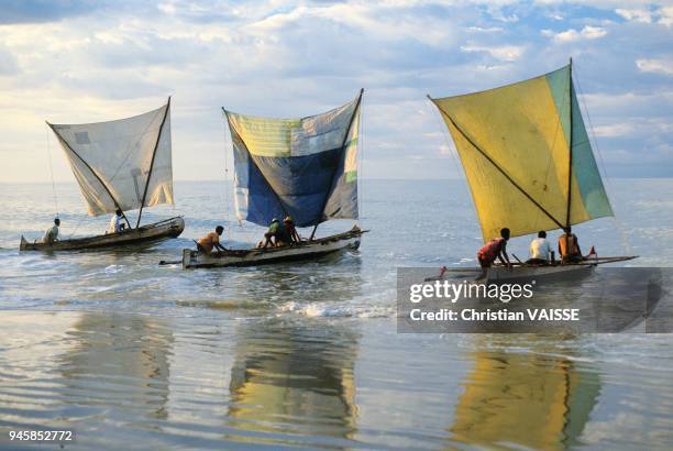 Les vezo sont un peuple du sud ouest de madagascar ce sont des nomades de la mer leur bateau utilisent des techniques indonesiennes.