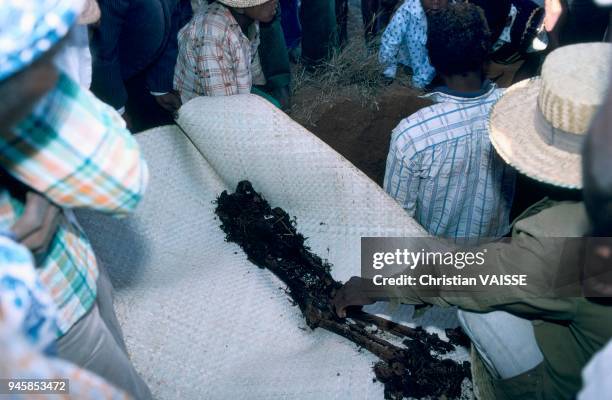 The Famadihana, a ceremony for "turning over the dead" which is celebrated every seven years, starts off by a ritual meal taken all together the...