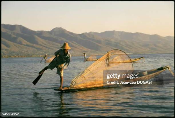 Cheur s'aidant de sa jambe pour ramer sur le lac Inle, Birmanie.