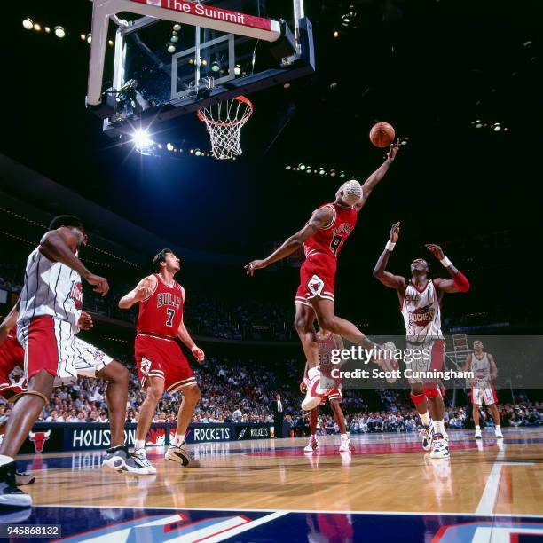Rodman Rourke Dennis Rodman Rebounds – Dennis Rodman Femme – RQRR