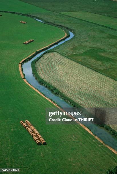 Agriculture. Vue aerienne de fenaison. Bottes de foin pressees, laissees en attente dans le champ jusqu'au chargement. Les bottes sont souvent...