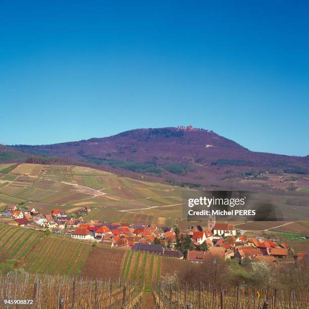 Village alsacien de Rodern sur la route du vin d'Alsace, Haut-Rhin au mois de mars Village alsacien de Rodern sur la route du vin d'Alsace, Haut-Rhin...