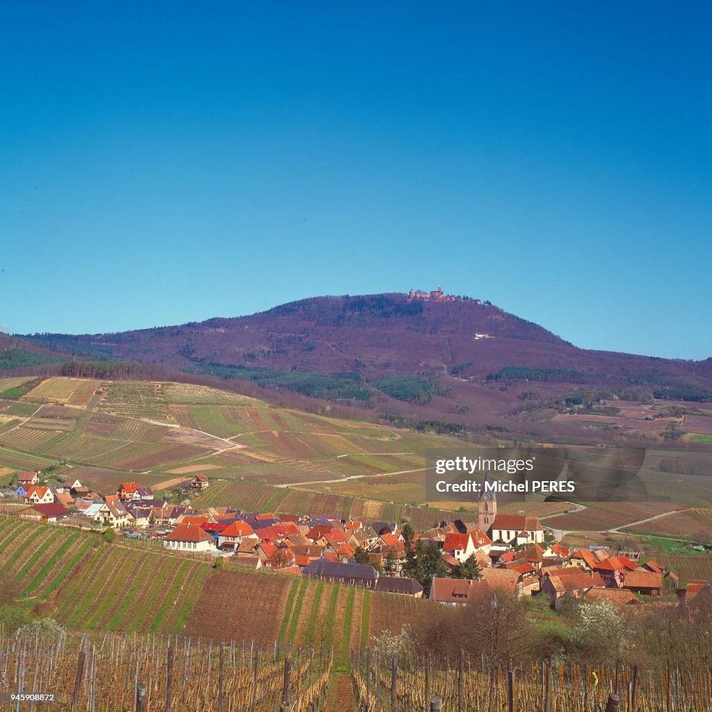 Rodern Village alsacien de Rodern sur la route du vin d'Alsace, Haut-Rhin au ...