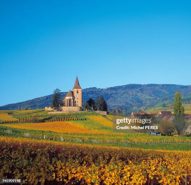 Village alsacien d'Hunawihr sur la route du vin d'Alsace, Haut-Rhin, ? l'automne Village alsacien d'Hunawihr sur la route du vin d'Alsace, Haut-Rhin,...