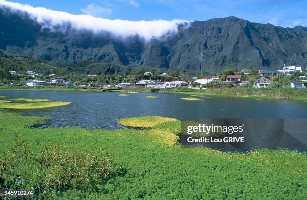 LA MARE-A-JONCS, CILAOS, ILE DE LA REUNION.