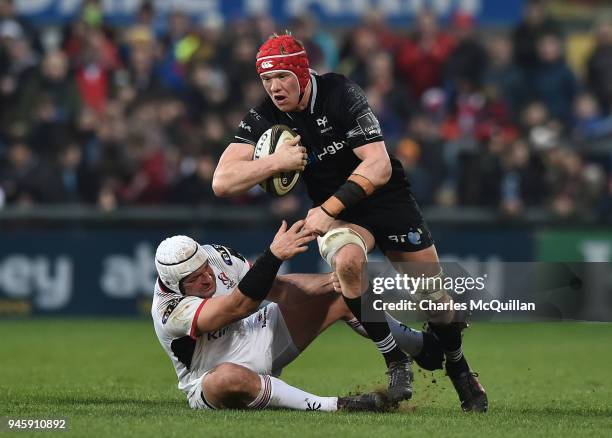 Sam Cross 328 Sam Cross Rugby Player Stock Photos, High-Res Pictures, and Images ...