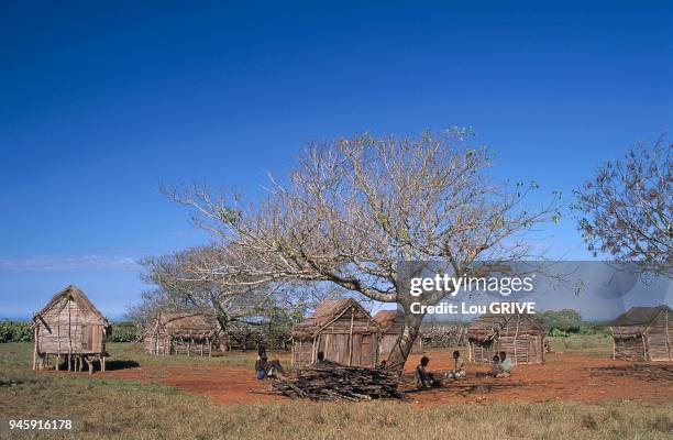 Maisons sur pilotis, en bois et au toit v?g?tal dans le sud de l'?le.