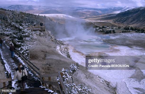 Mammoth Hot Springs Minerva Terrace : bassins ?tag?s form?s par dep?ts de travertin.