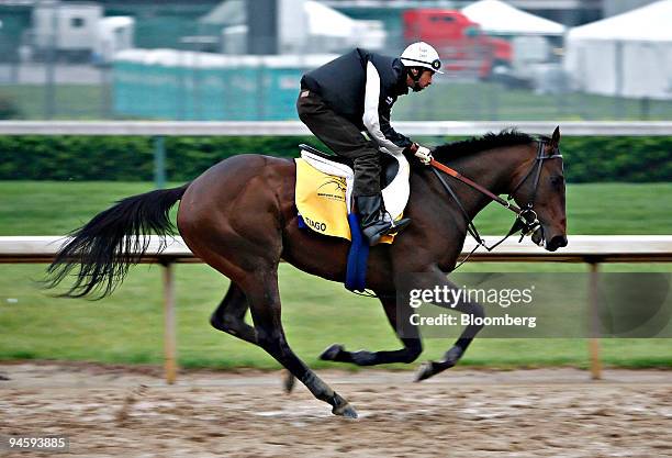 Kentucky Derby hopeful Tiago runs on the track during morning workouts, Thursday, May 3 at Churchill Downs in Louisville, Kentucky. Trainer John...