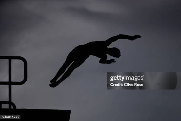 Aidan Heslop of Wales competes in the Mens 10m Platform Preliminary during Diving on day 10 of the Gold Coast 2018 Commonwealth Games at Optus...