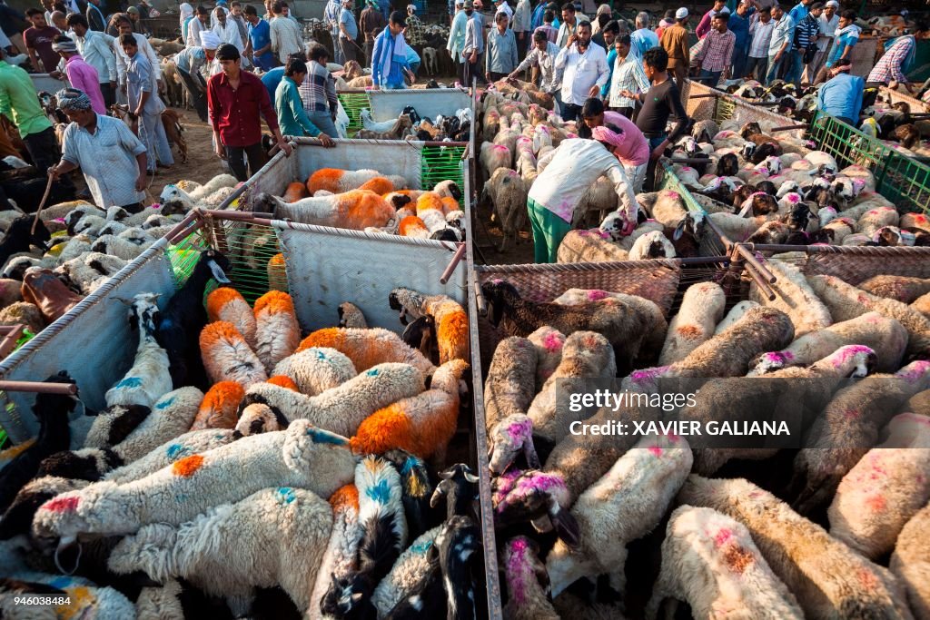 INDIA-ECONOMY-CATTLE