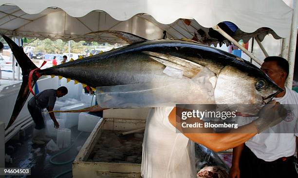 Yellowfin tuna is carried through the General Santos Fishing Port complex in General Santos, the Philippines, on Saturday, May 5, 2007. The...