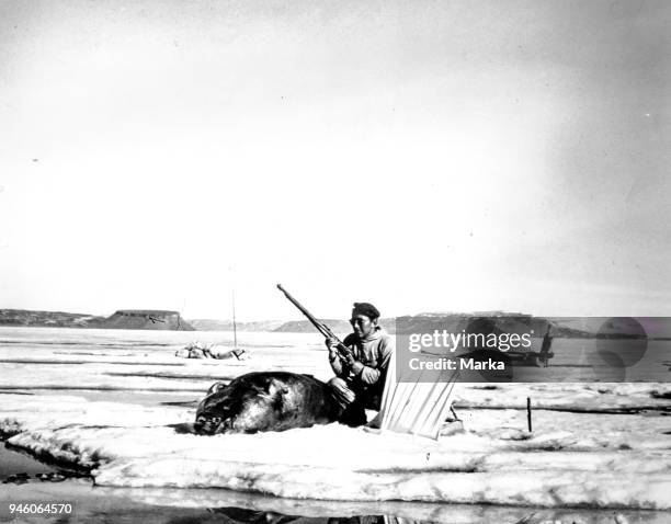 Inuit Hunting Photos and Premium High Res Pictures - Getty Images