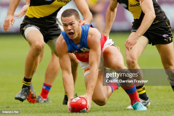 Cameron Rayner of the Lions gathers the ball during the round four AFL match between the Richmond Tigers and the Brisbane Lions at Melbourne Cricket...