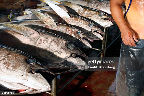 Yellowfin tuna are lined up before being sold at the General Santos Fishing Port complex in General Santos, the Philippines, on Saturday, May 5,...