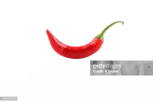 red chili pepper - chili freisteller stock-fotos und bilder