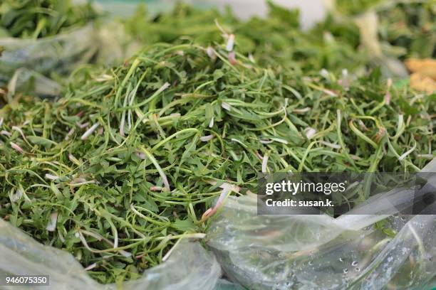 dandalion greens on sell at the market stall - dandelion greens stock pictures, royalty-free photos & images