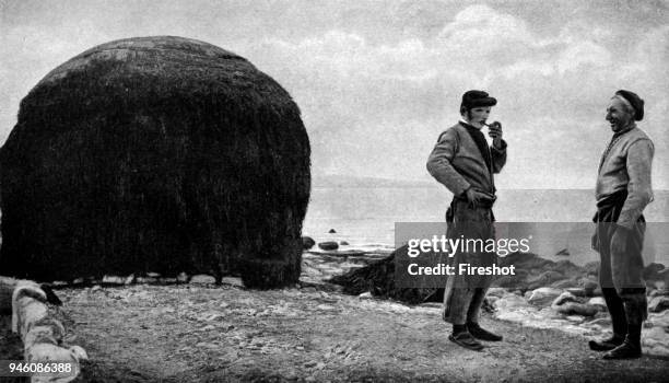 Historical Geography. 1900. Ireland. Before being fit to burn the seaweed used in kelp-making has to be dried in the sun for several months, and kelp...