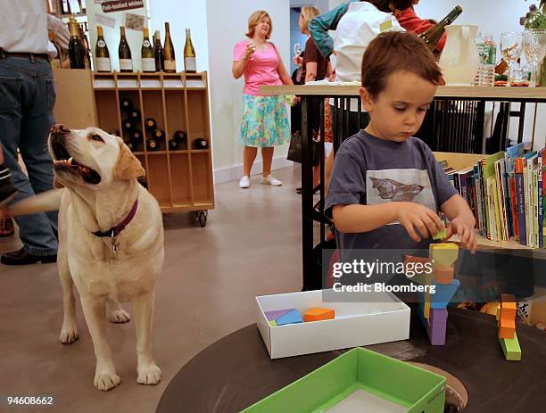 Scott Tinsley Photos and Premium High Res Pictures - Getty Images