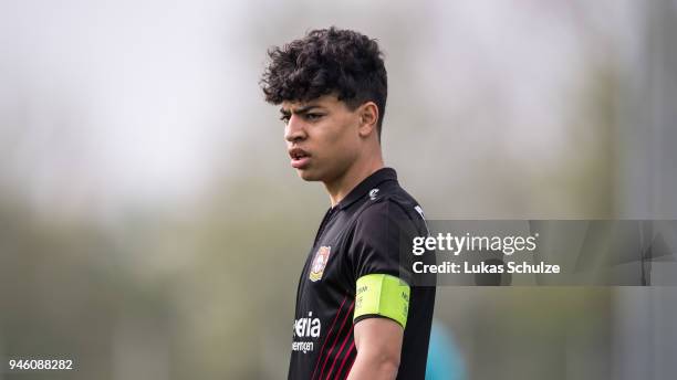 Ayman Azhil Photos and Premium High Res Pictures Getty Images