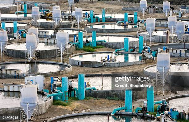 Fish tanks at the Kent Seatech aquaculture facility contain stripped bass and tilapia fish in Mecca, California, Tuesday, August 29, 2006. Growing up...