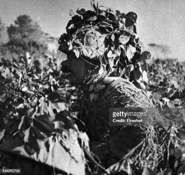 World War II-1942 Pacific front. A japanese soldier dressing a complete camouflaged uniform.