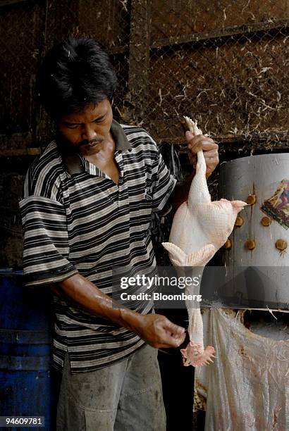 Butchered 657 Butchered Stock Photos, High-Res Pictures, and Images - Getty Images