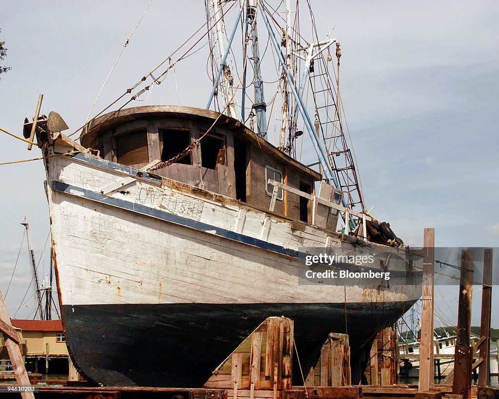 The Shrimp Boat "Capt. Lester" is up in dry dock on Hilton H