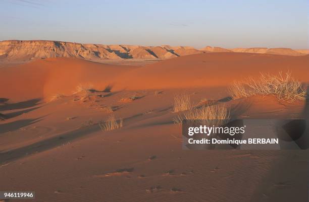 DESERT DE SABLE ROUGE, ARABIE SAOUDITE.