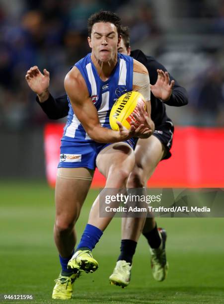 Luke Davies-Uniacke of the Kangaroos marks the ball ahead of Lachie Plowman of the Blues during the 2018 AFL Round 04 match between the North...