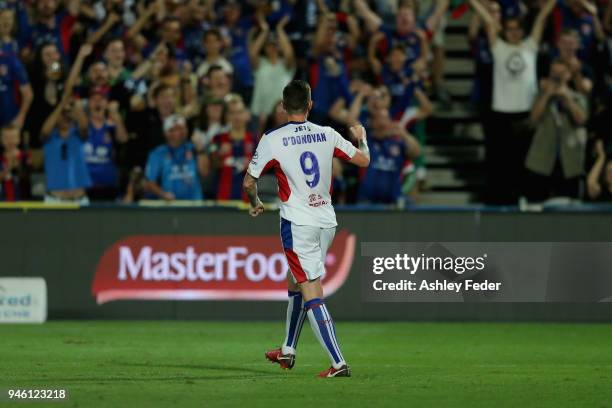 Roy O'Donovan of the Jets celebrates his goal infront of the crowd during the round 27 A-League match between the Central Coast Mariners and the...