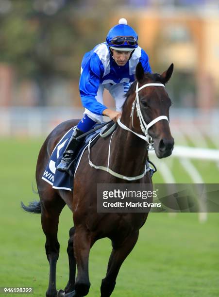 Hugh Bowman on Winx returns to scale after winning race 7 the Queen Elizabeth Stakes during day two of The Championships as part of Sydney Racing at...