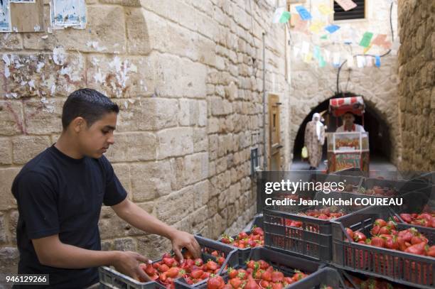 Ruelles du souk de la vieille ville de Saida . Ruelles du souk de la vieille ville de Saida .