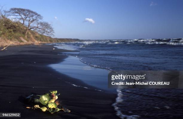 Plage de sable noir et lac Nicaragua . Plage de sable noir et lac Nicaragua .