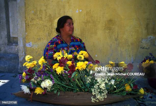 Durant la Semaine Sainte, vendeuse de fleur dans les rues d'Antigua, Guatemala fleur fete religion femme huipile semaine sainte rue ville guatemala...