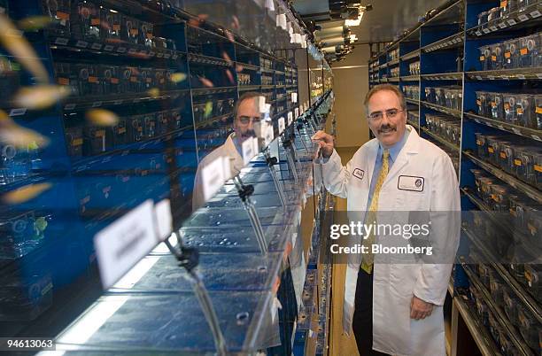 Dr. Leonard Zon, director of the Stem Cell Center at Children's Hospital stands in his Zebra Fish research facility in Boston, Massachusetts, Friday,...