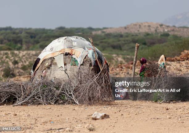 Somali hut called aqal in the desert, Togdheer region, Burao, Somaliland on November 16, 2011 in Burao, Somaliland.