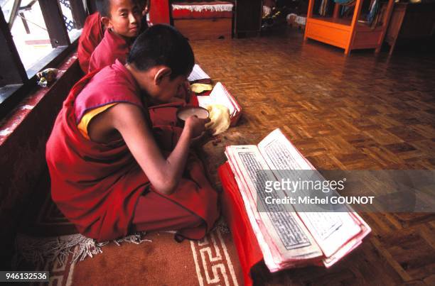 Communaut? religieuse des moines bouddhistes tib?tains de la ville de Bodh Nath, pr?s de Kathmandou. Les pratiques religieuses occupent la majorit?...