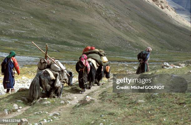 Lerinage bouddhiste autour du mont Kailash dans le sud-ouest du Tibet entre 4500m et 5800m d'altitude. Le mont Kailash culminant ? 6714m est le lieu...