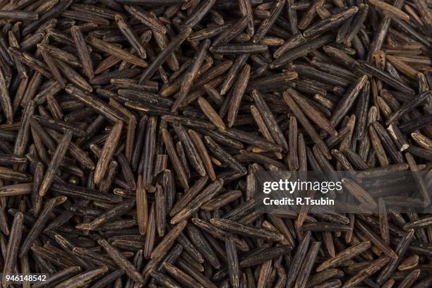 background of black wild rice - human parainfluenza virus stock pictures, royalty-free photos & images