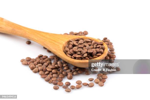 organic lentils in spoon - 2016 243 stock pictures, royalty-free photos & images