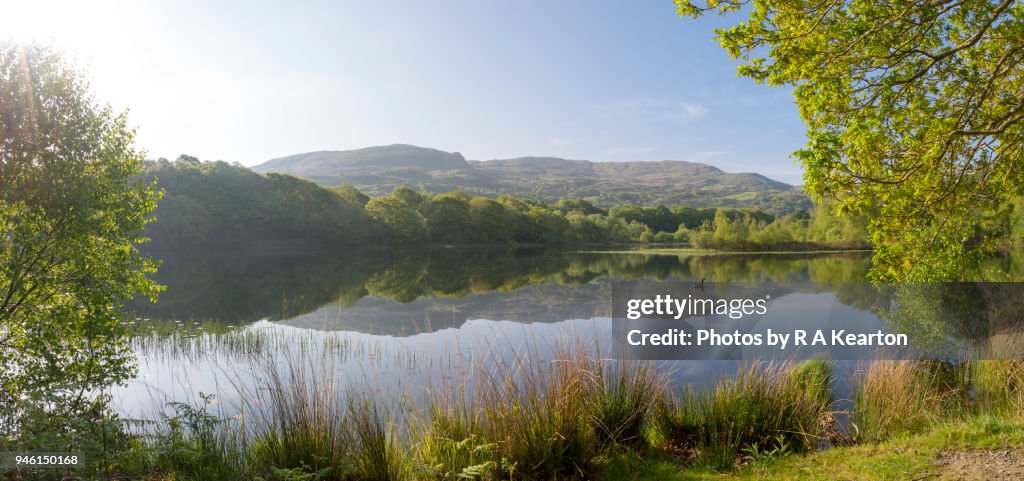 Beautiful lake in North Wales on a spring morning