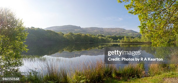 Spring Wales Beautiful Lake In North Wales On A Spring Morning High-Res Stock Photo ...