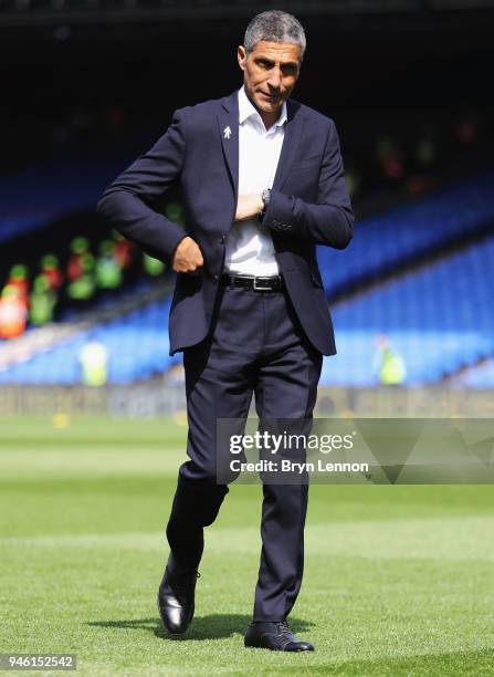 Chris Hughton, Manager of Brighton and Hove Albion inspetcs the pitch prior to the Premier League match between Crystal Palace and Brighton and Hove...