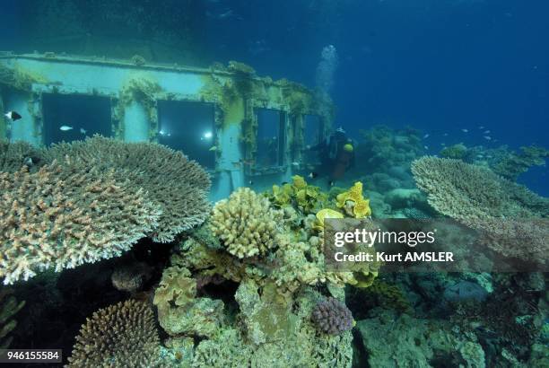 Underwater Observatorium, Marine Park, Coral.